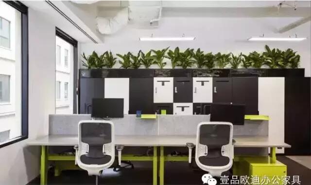 为什么办公室里一定要养植物？-LUTUBE下载地址欧迪办公家具